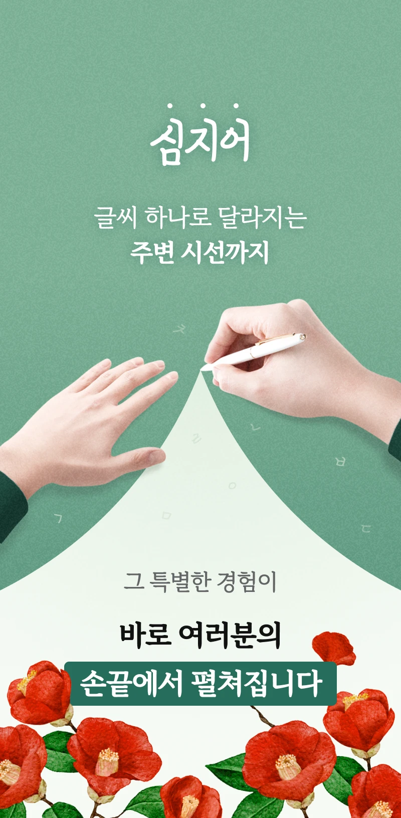 상세 이미지
