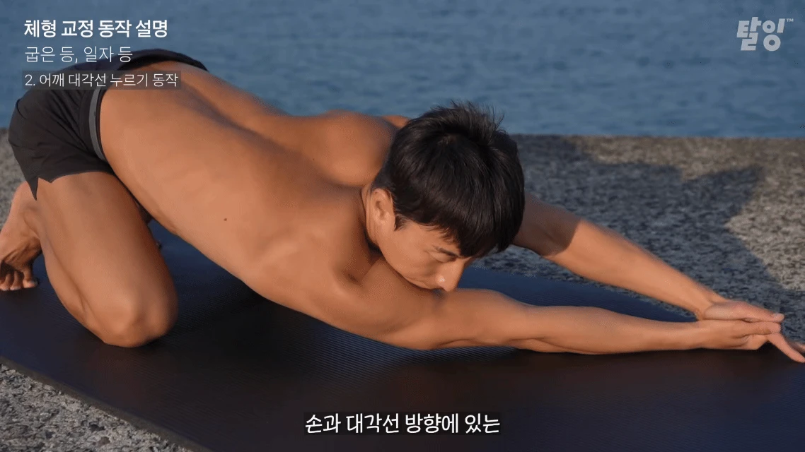상세 이미지